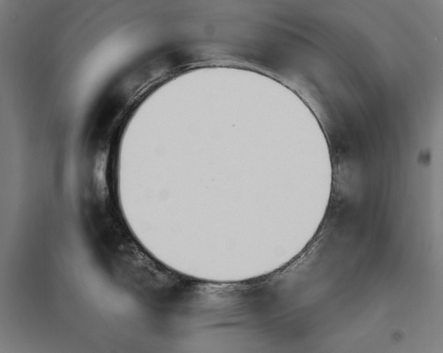 X0000097901150200803281334