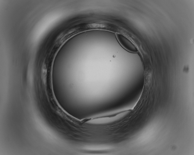 X0000097901151200803281334