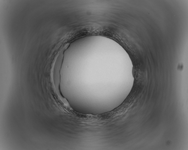 X0000097901153200803281333