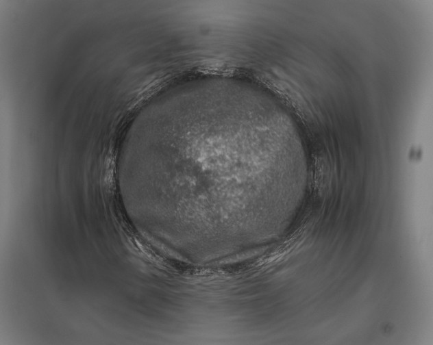 X0000097901154200803281333