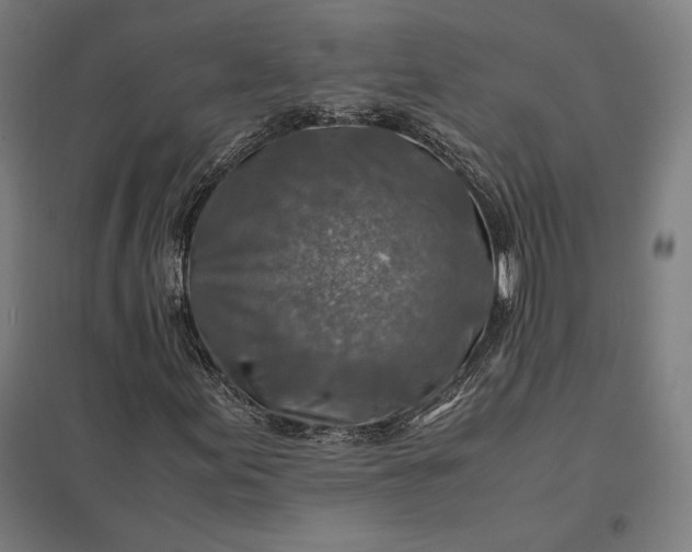 X0000097901155200803281333