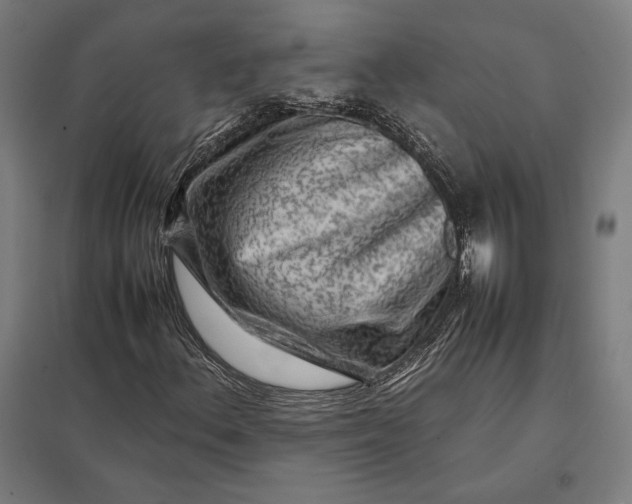 X0000097901156200803281333