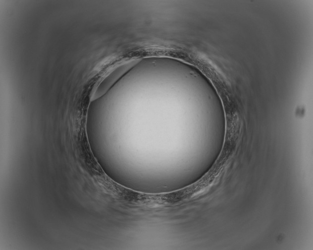 X0000097901157200803281333