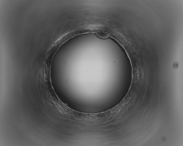 X0000097901158200803281333