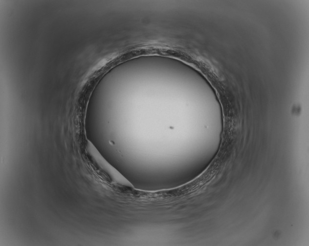 X0000097901159200803281332