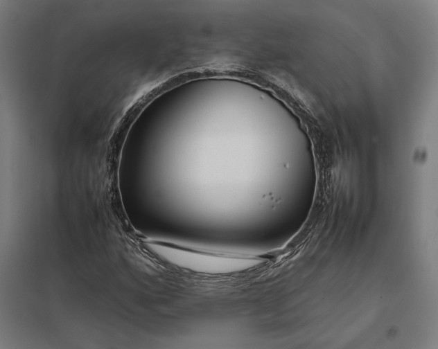 X0000097901160200803281332