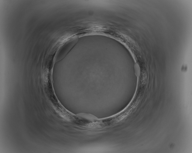 X0000097901161200803281332