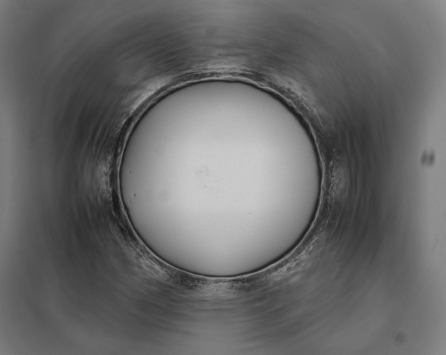 X0000097901162200803281332