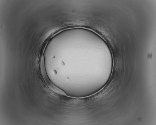 X0000097901163200803281332