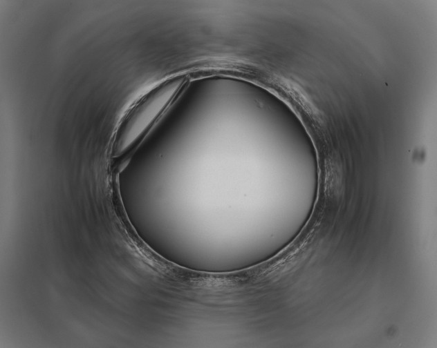 X0000097901164200803281332