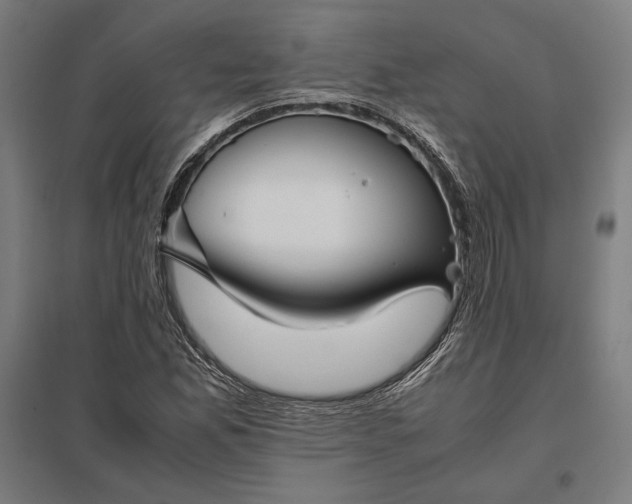 X0000097901165200803281332