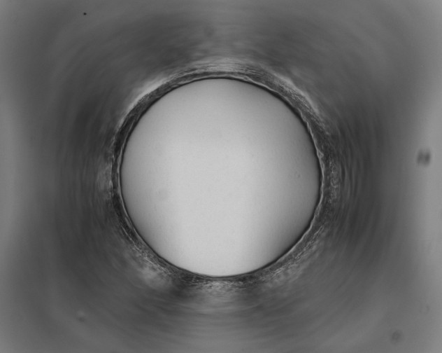 X0000097901166200803281332