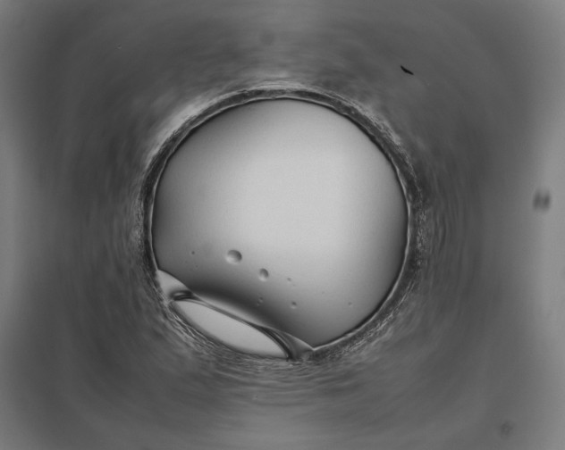 X0000097901167200803281332