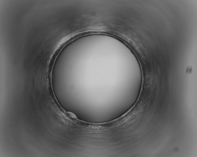 X0000097901168200803281332