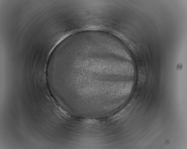 X0000097901170200803281332