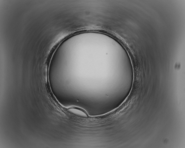 X0000097901171200803281332