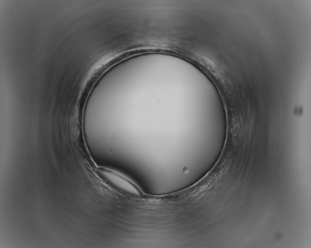 X0000097901172200803281332