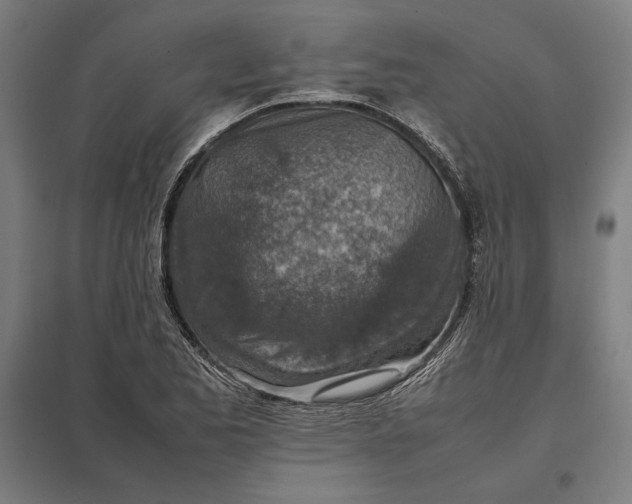 X0000097901173200803281332