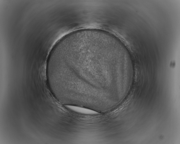 X0000097901174200803281332