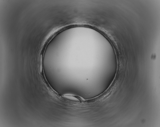 X0000097901175200803281332