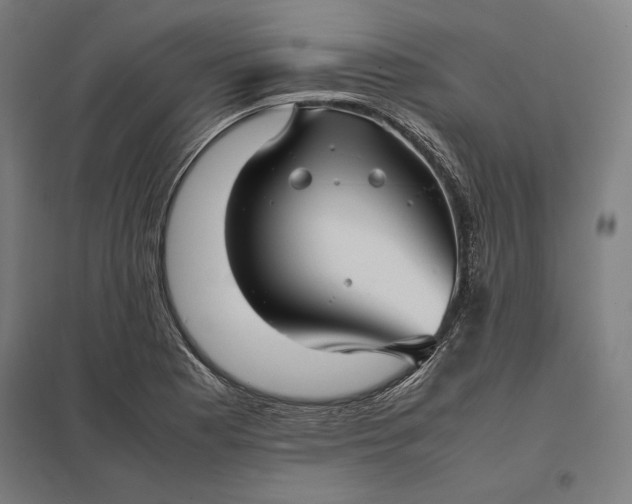 X0000097901177200803281332