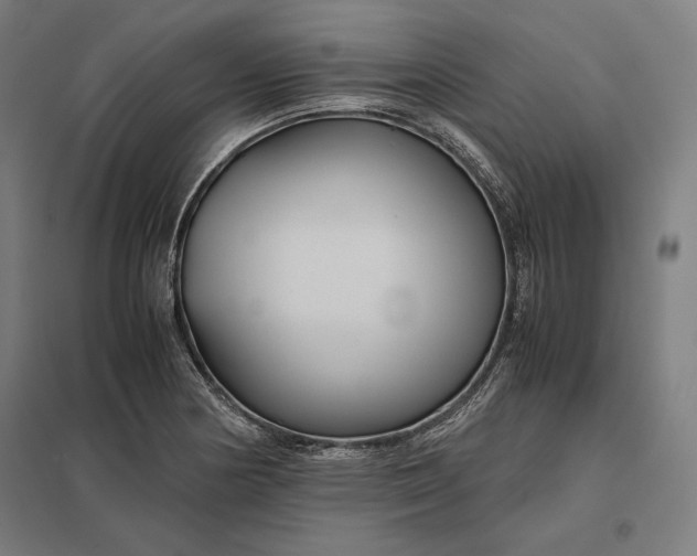 X0000097901178200803281332