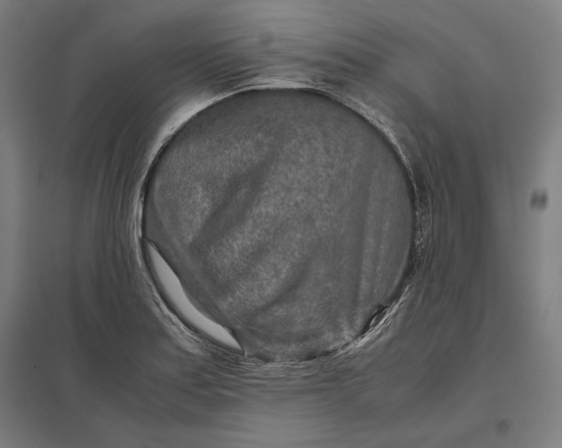 X0000097901179200803281332