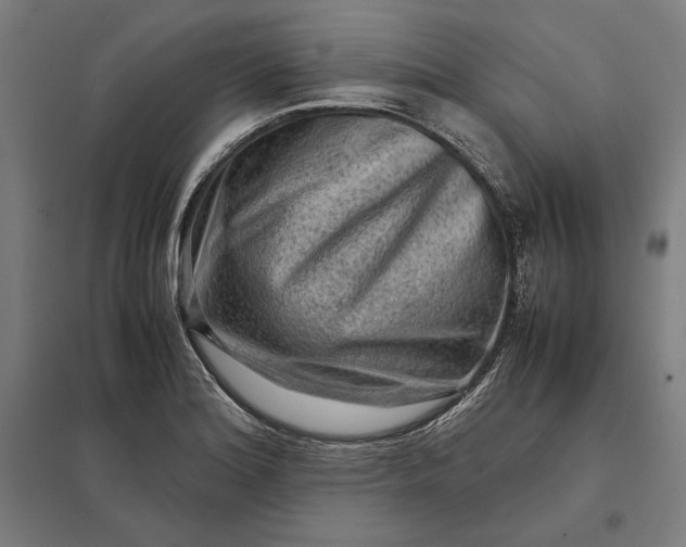 X0000097901180200803281332