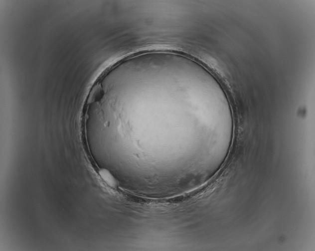 X0000097901181200803281332