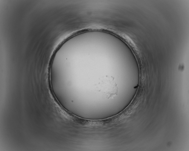 X0000097901183200803281332