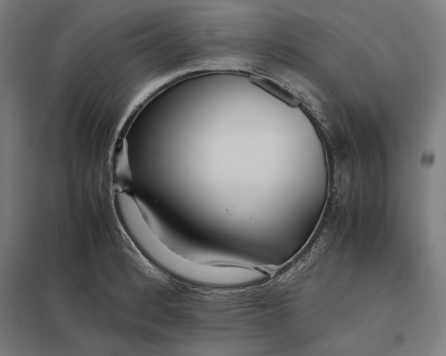 X0000097901184200803281332