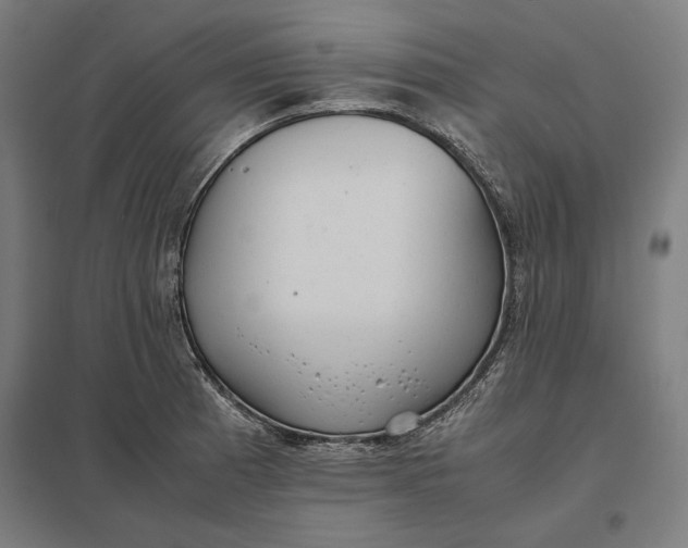 X0000097901185200803281332