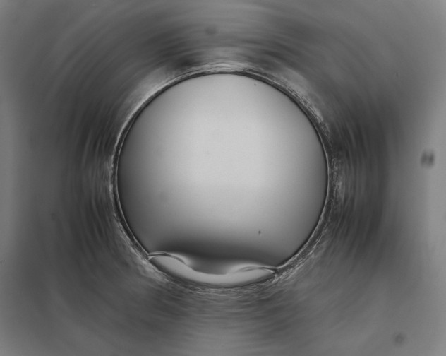 X0000097901186200803281332