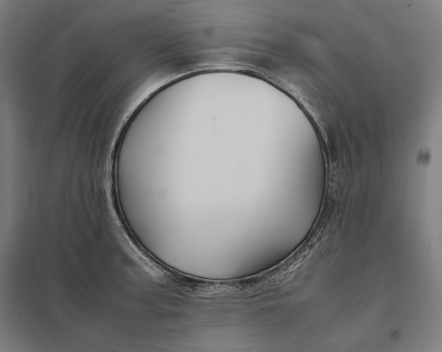 X0000097901187200803281332