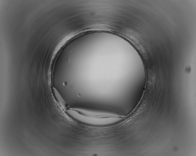 X0000097901188200803281332