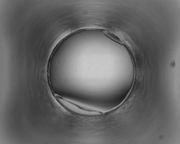 X0000097901189200803281332