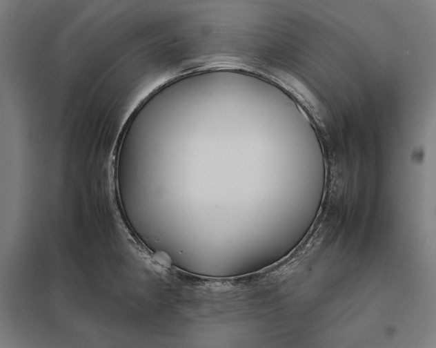 X0000097901190200803281332