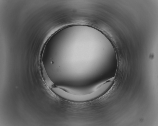 X0000097901192200803281332