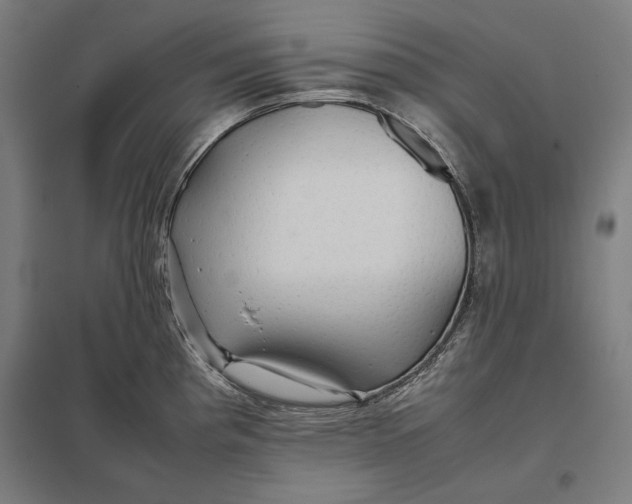 X0000097901193200803281332