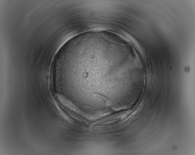 X0000097901194200803281332