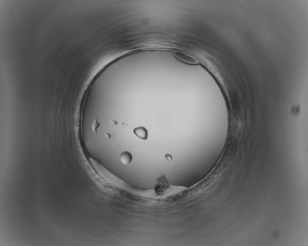 X0000097901195200803281332