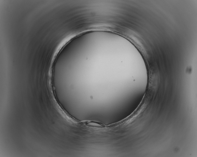 X0000097901196200803281332