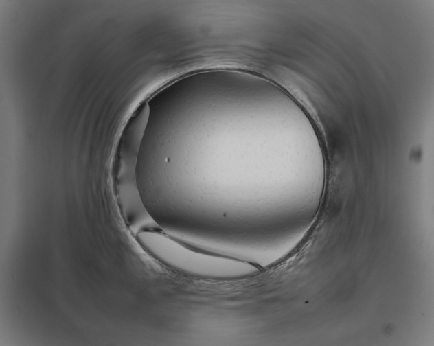 X0000097901197200803281332