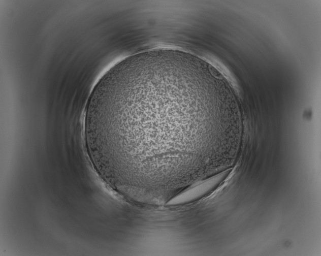 X0000097901198200803281332