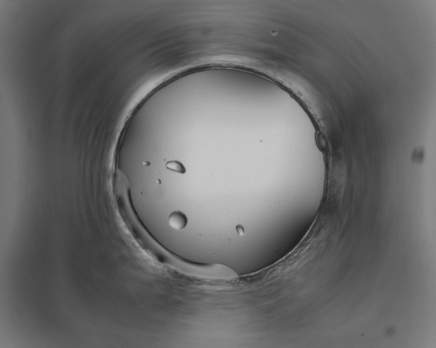 X0000097901199200803281332