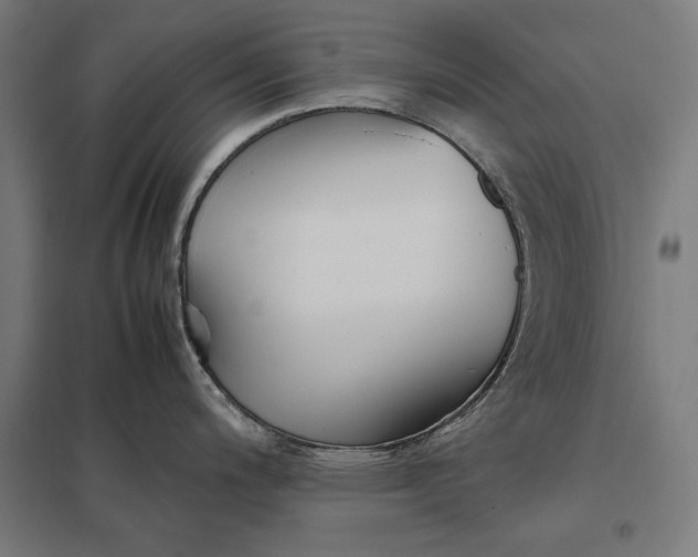 X0000097901200200803281332