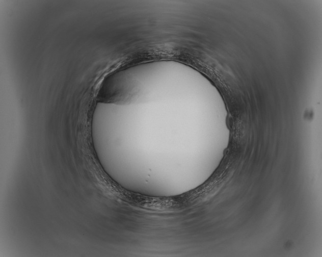 X0000097901201200803281331