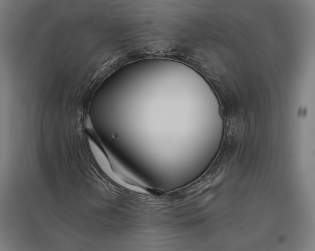 X0000097901202200803281331