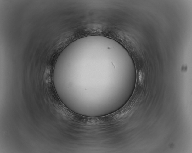 X0000097901203200803281331
