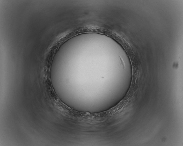 X0000097901207200803281331